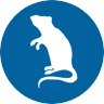 icon-rat